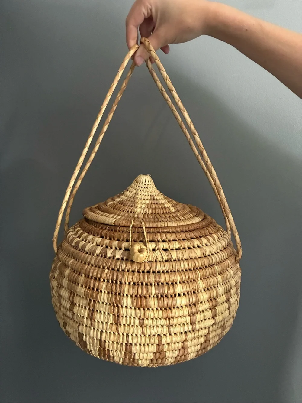 Handmade Lidded African Coiled Basket with Handles Natural Woven Storage Basket